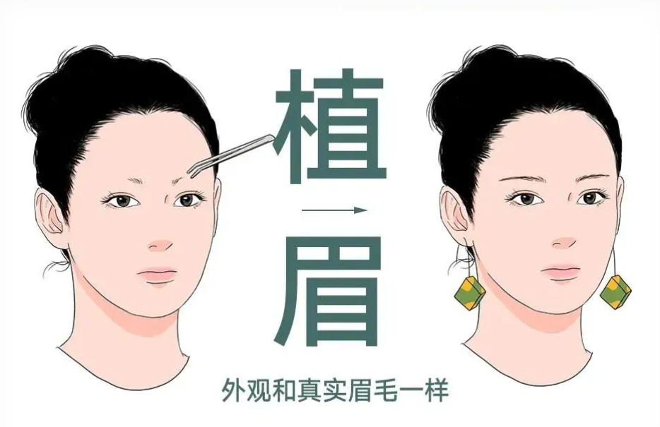 南京植眉